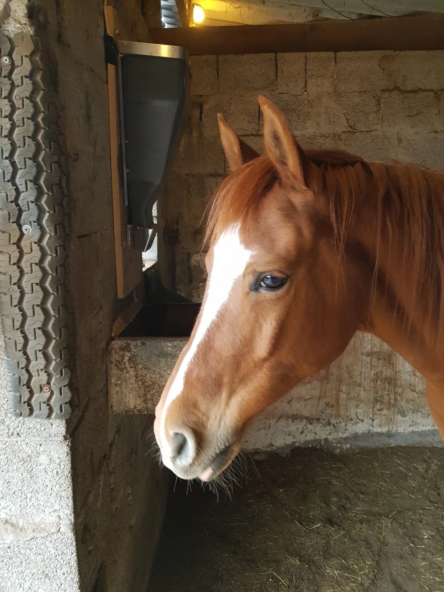 iFEED For Inside Stall Installation