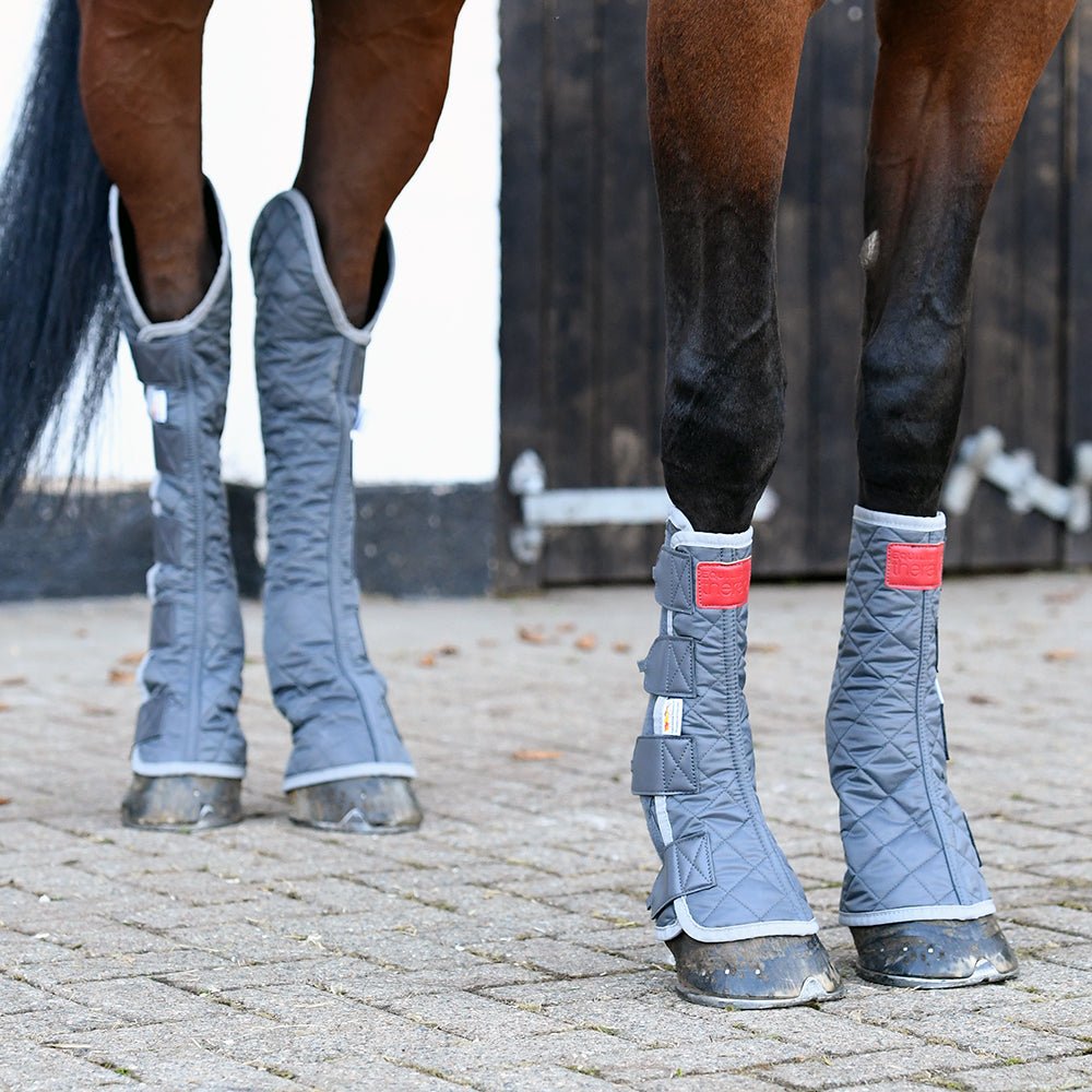 Equilibrium Hind & Hock Magnetic Chaps