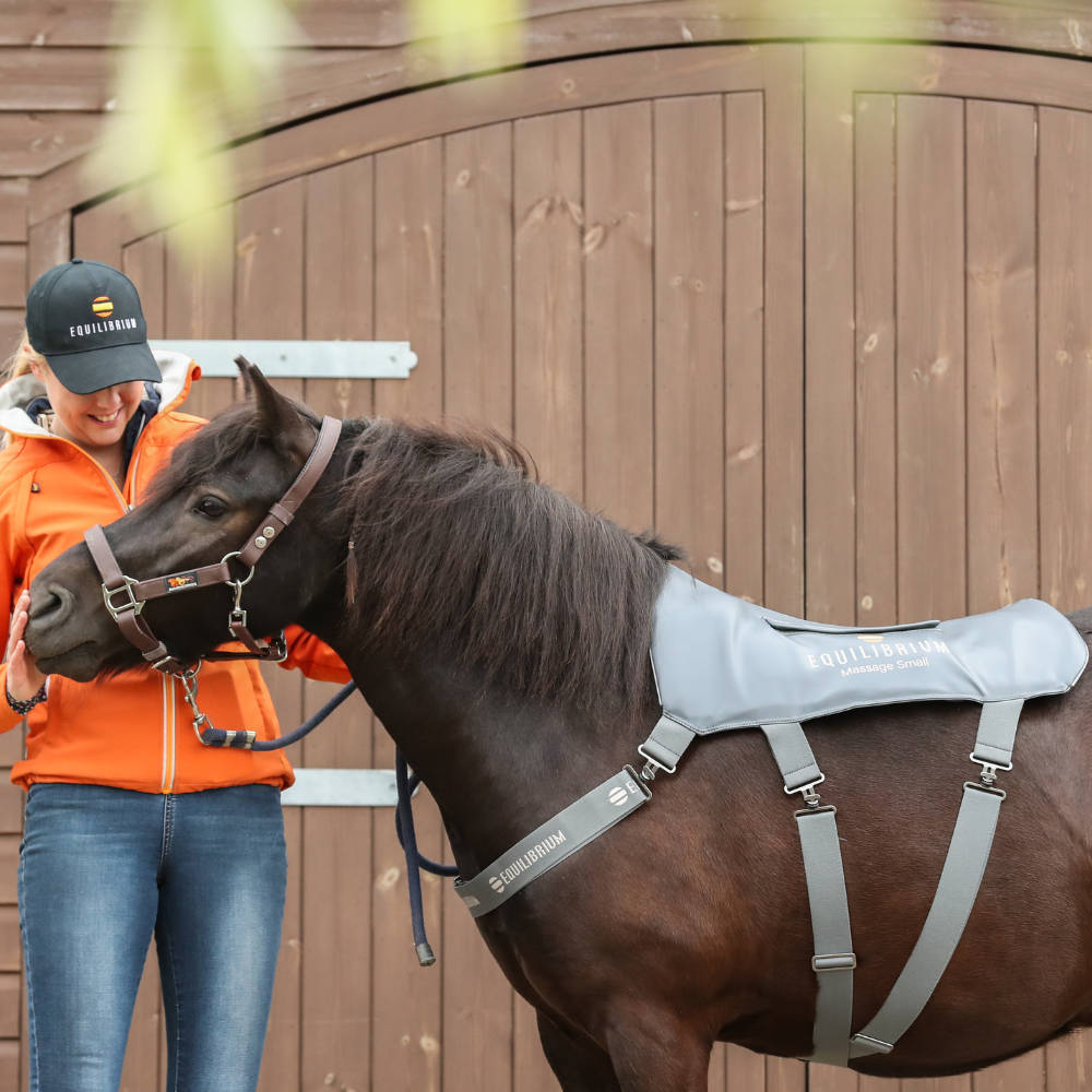 Pony Massage Pad