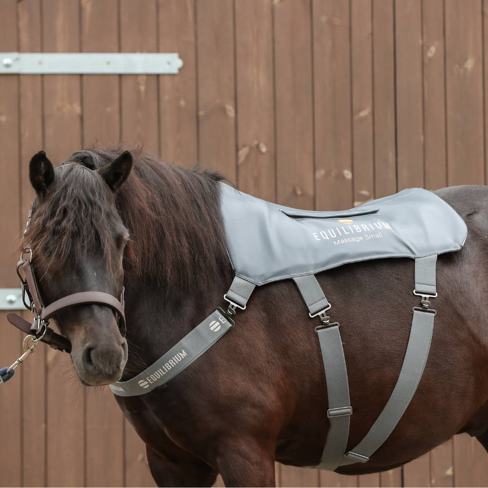 Pony Massage Pad