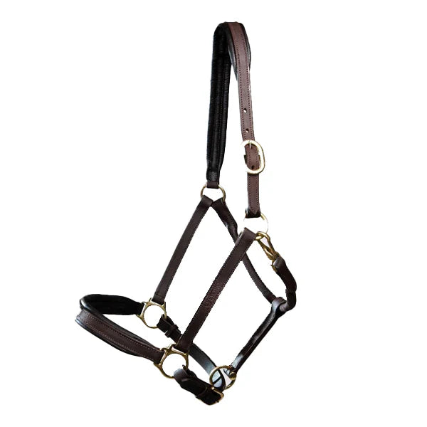 Softie Padded leather Head Collar Full, Cob, Pony Brown