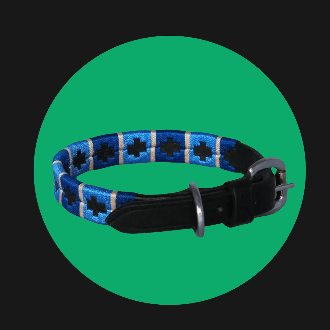 Dog Collars & Leads