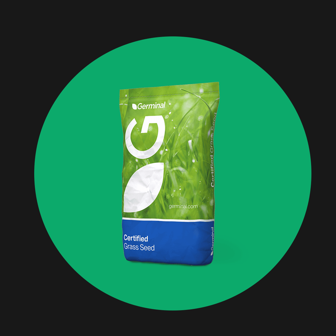 Germinal
