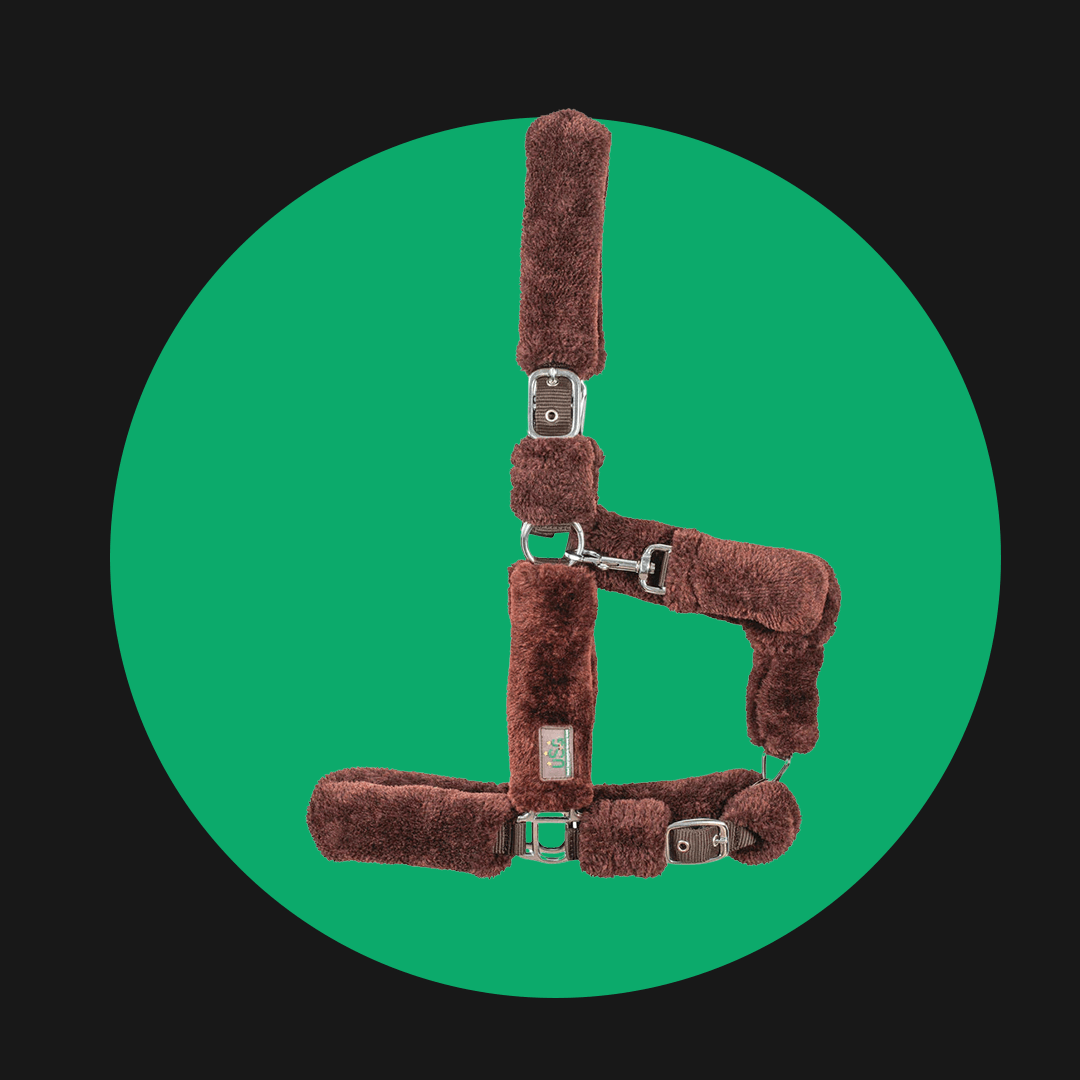 Headcollar