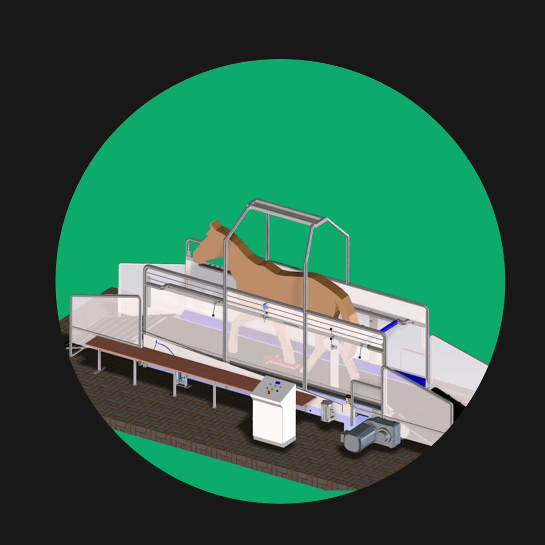 Horse Gym 2000