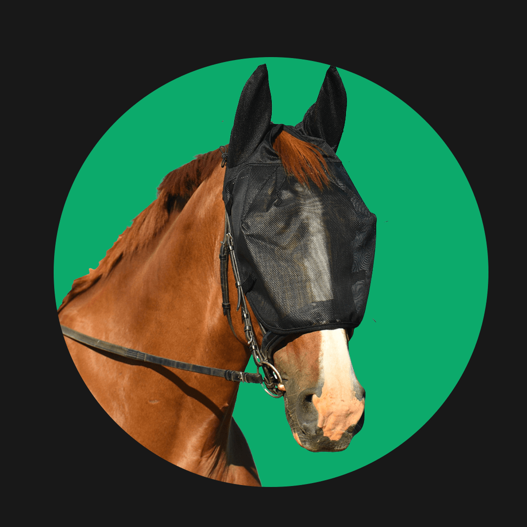 Horse Masks