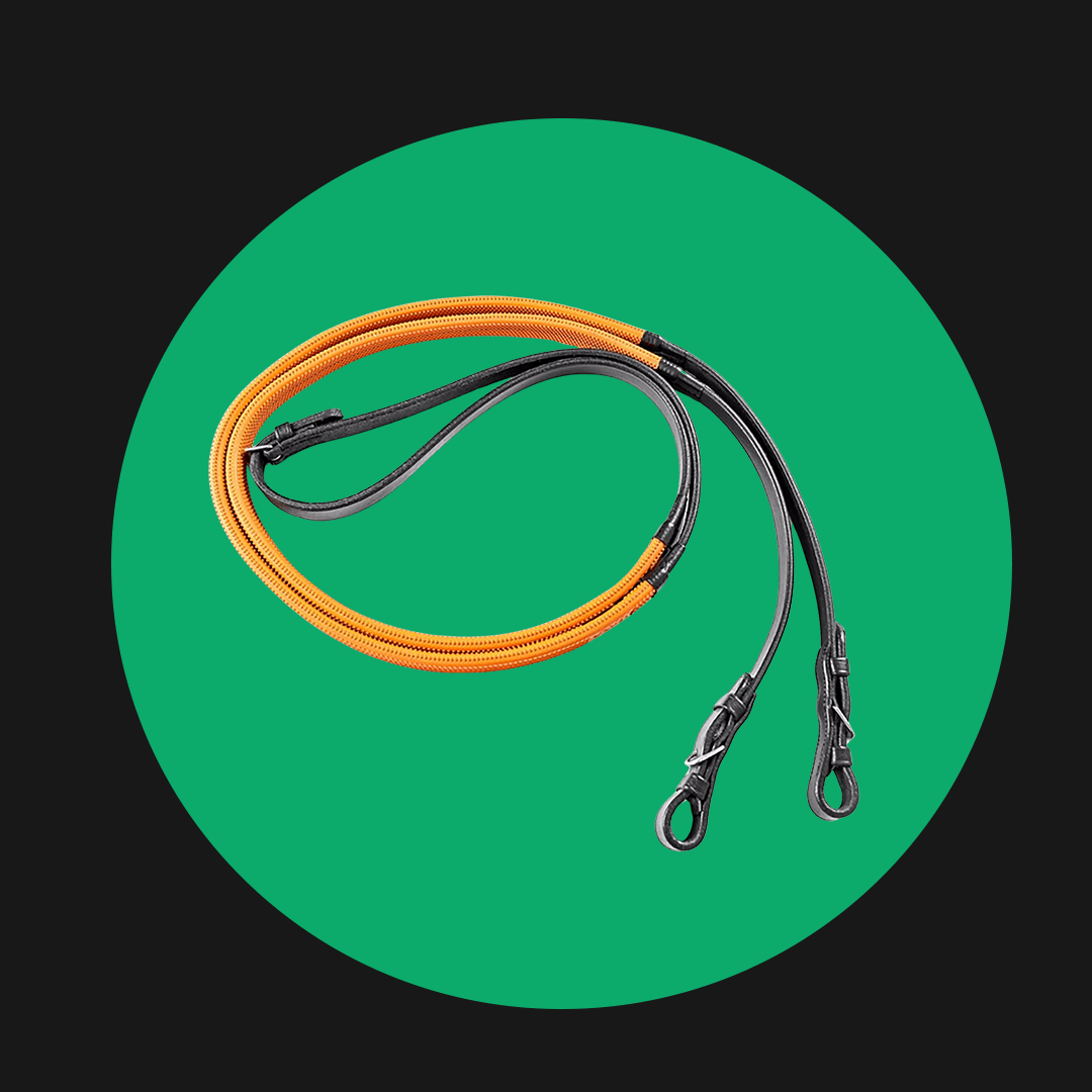 Reins