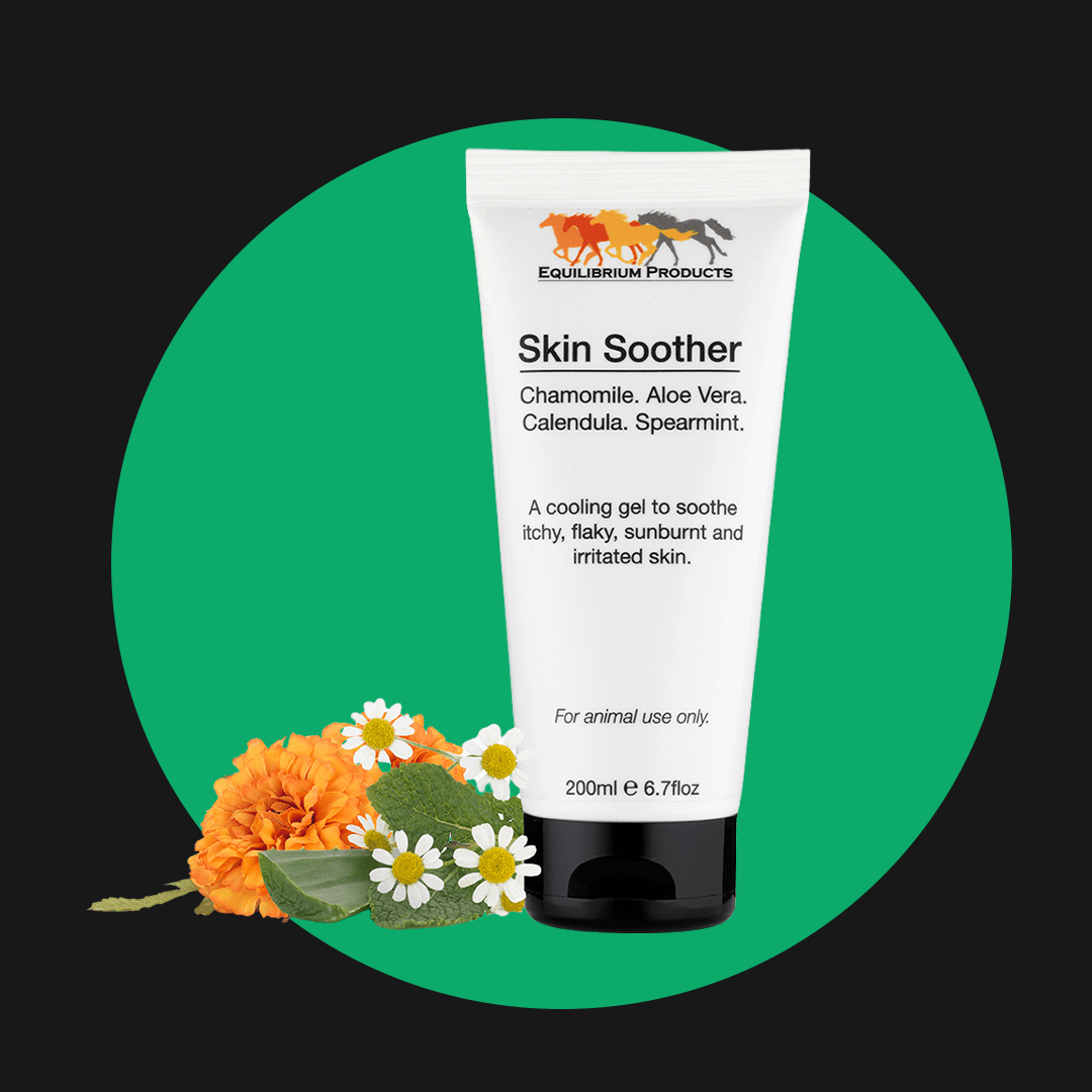 Sun Protection