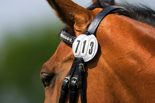 Bridle Number Set Round Numbers