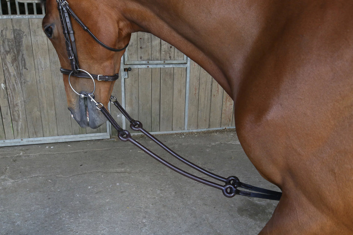 Breeze Up Bungee Martingale