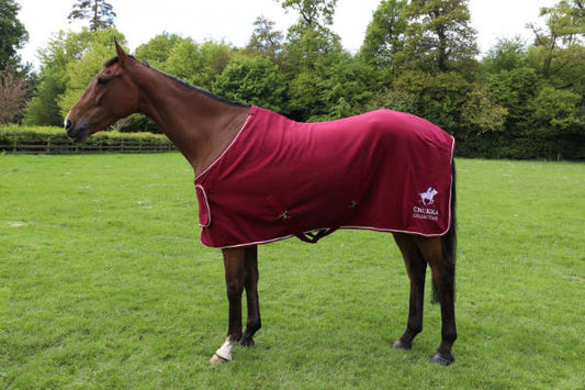 Chukka Jersey Fleece Burgundy