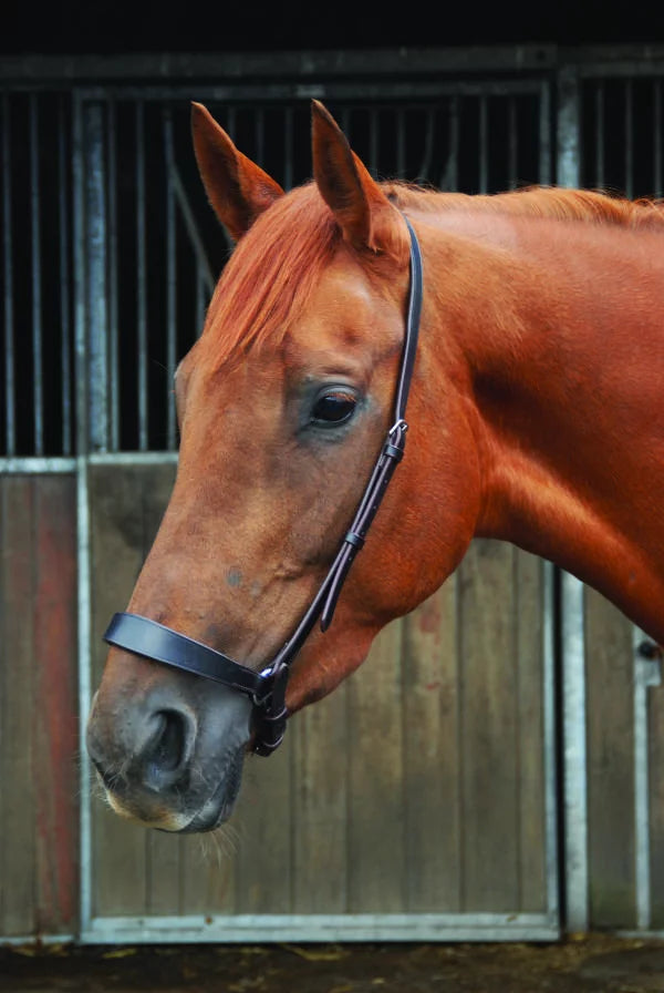 Chukka Leather Polo Drop Noseband