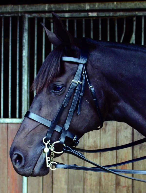 Double Bridle & Reins Full Grain