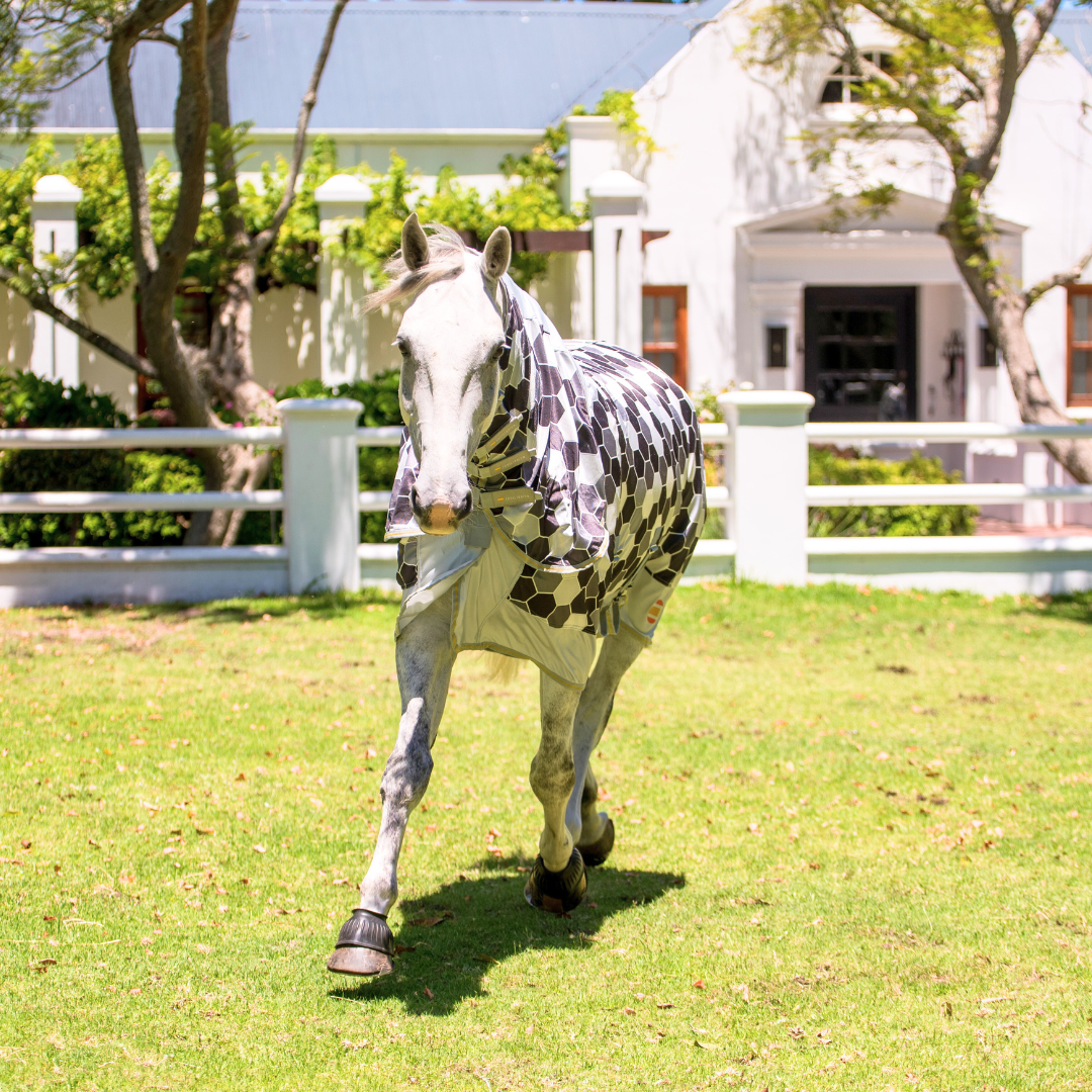 Field Relief Fly Rug