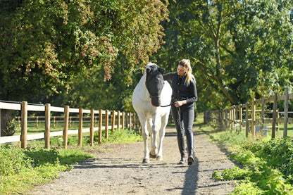 Field Relief Max Fly Mask