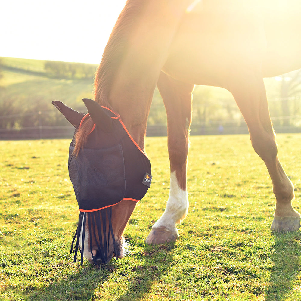 Field Relief Midi Fly Mask with Ears