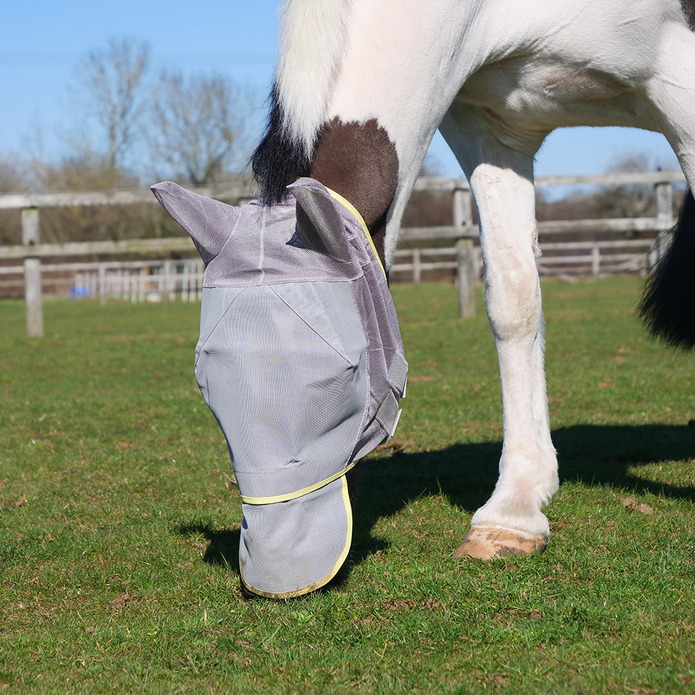 Field Relief Max Fly Mask