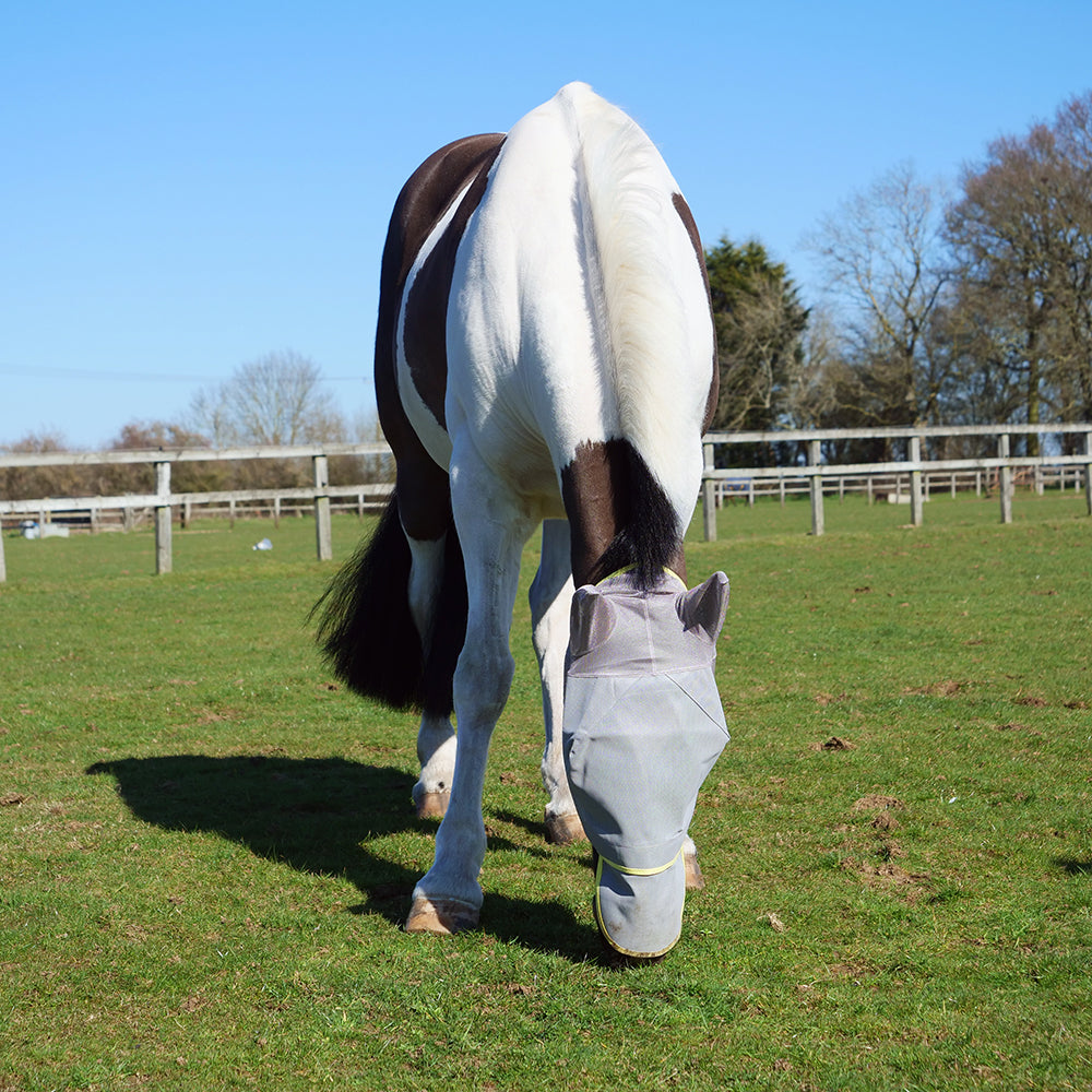 Field Relief Max Fly Mask