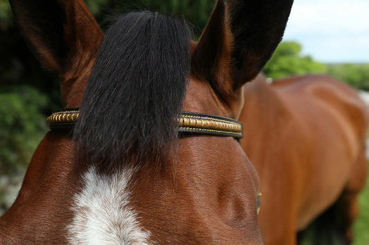 Breeze Up Inhand Bridle Fancy - Brown, Pony