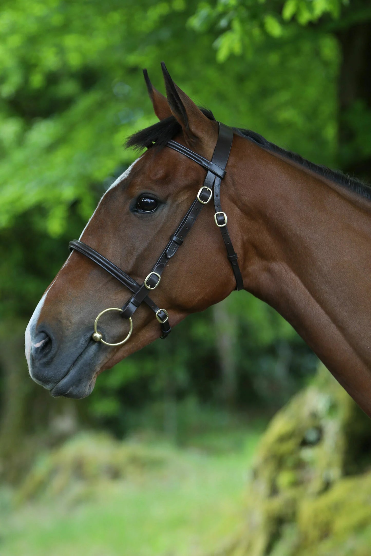 Breeze Up Inhand Bridle Plain