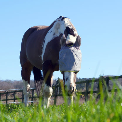 Field Relief Midi Fly Mask with Ears