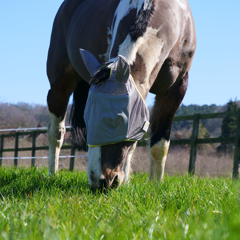 Field Relief Midi Fly Mask with Ears