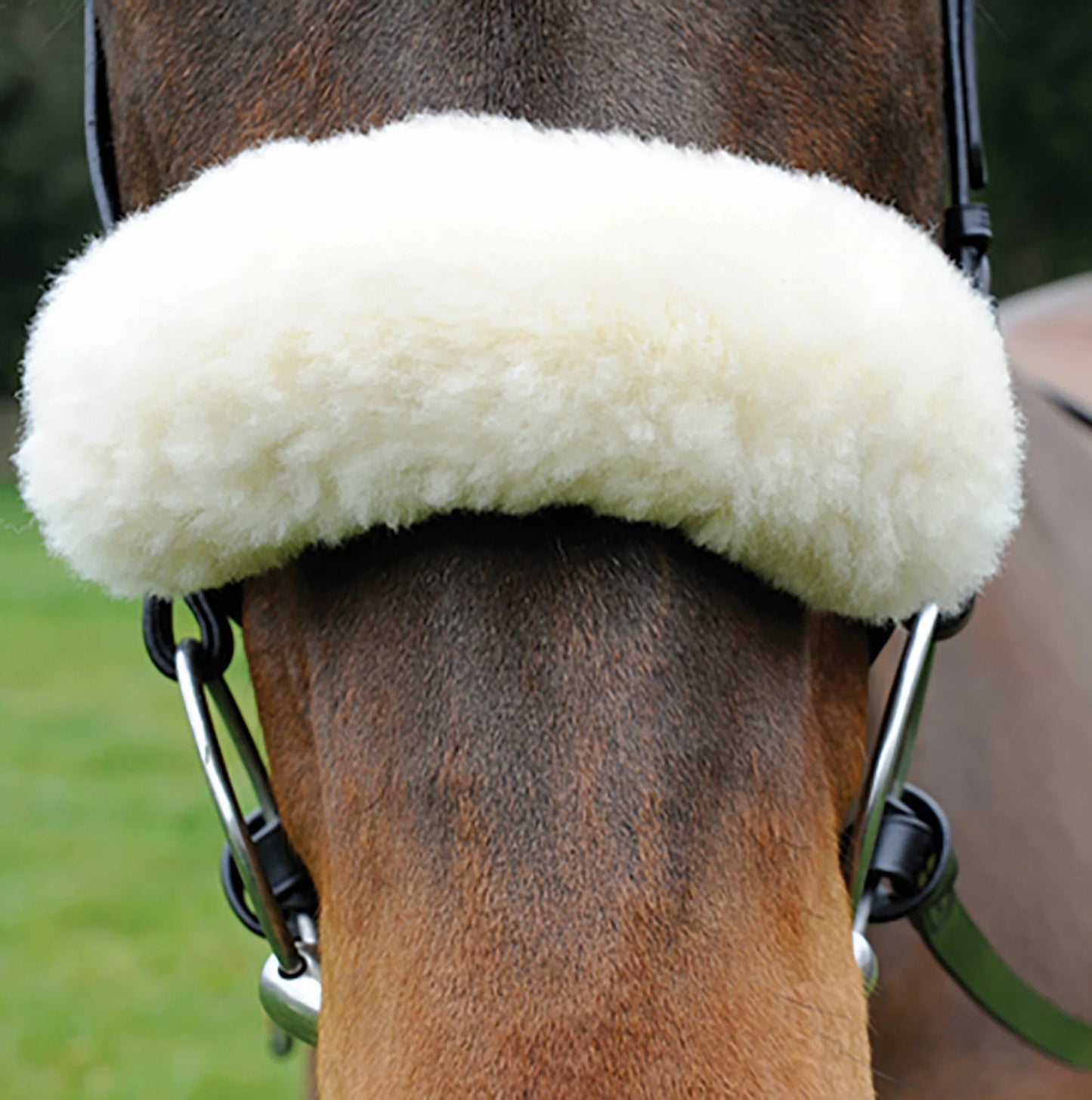 Breeze Up Sheepskin Noseband Cream