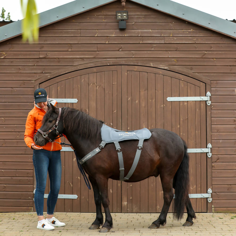 Pony Massage Pad