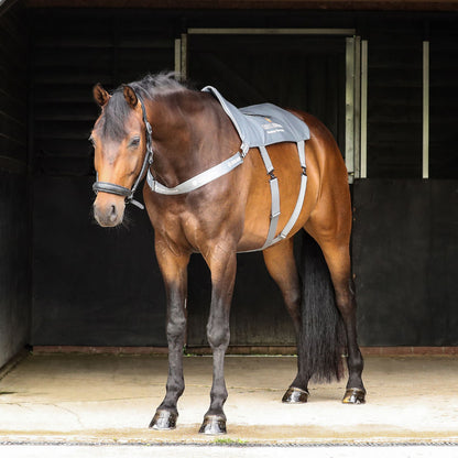 Standard Massage Pad