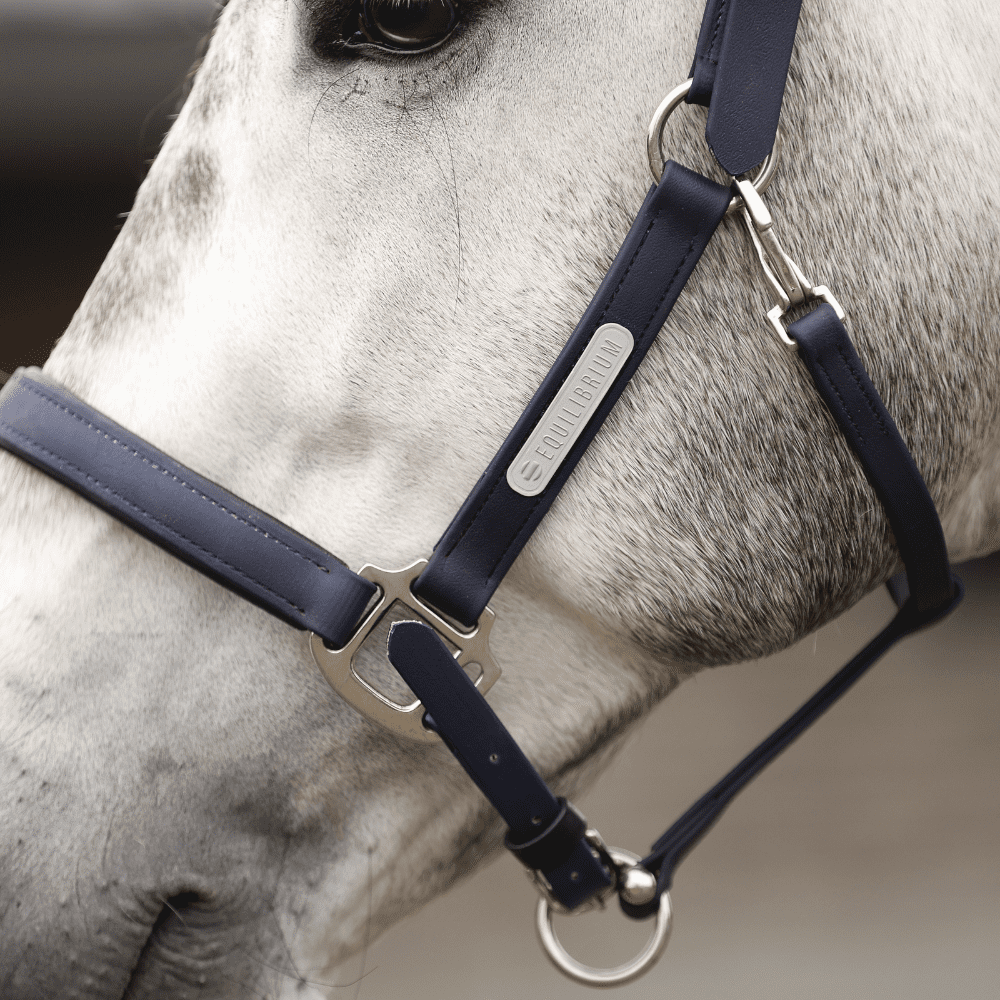 Stellar Headcollar from Equilibrium Products