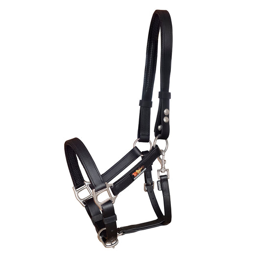 Stellar Headcollar from Equilibrium Products