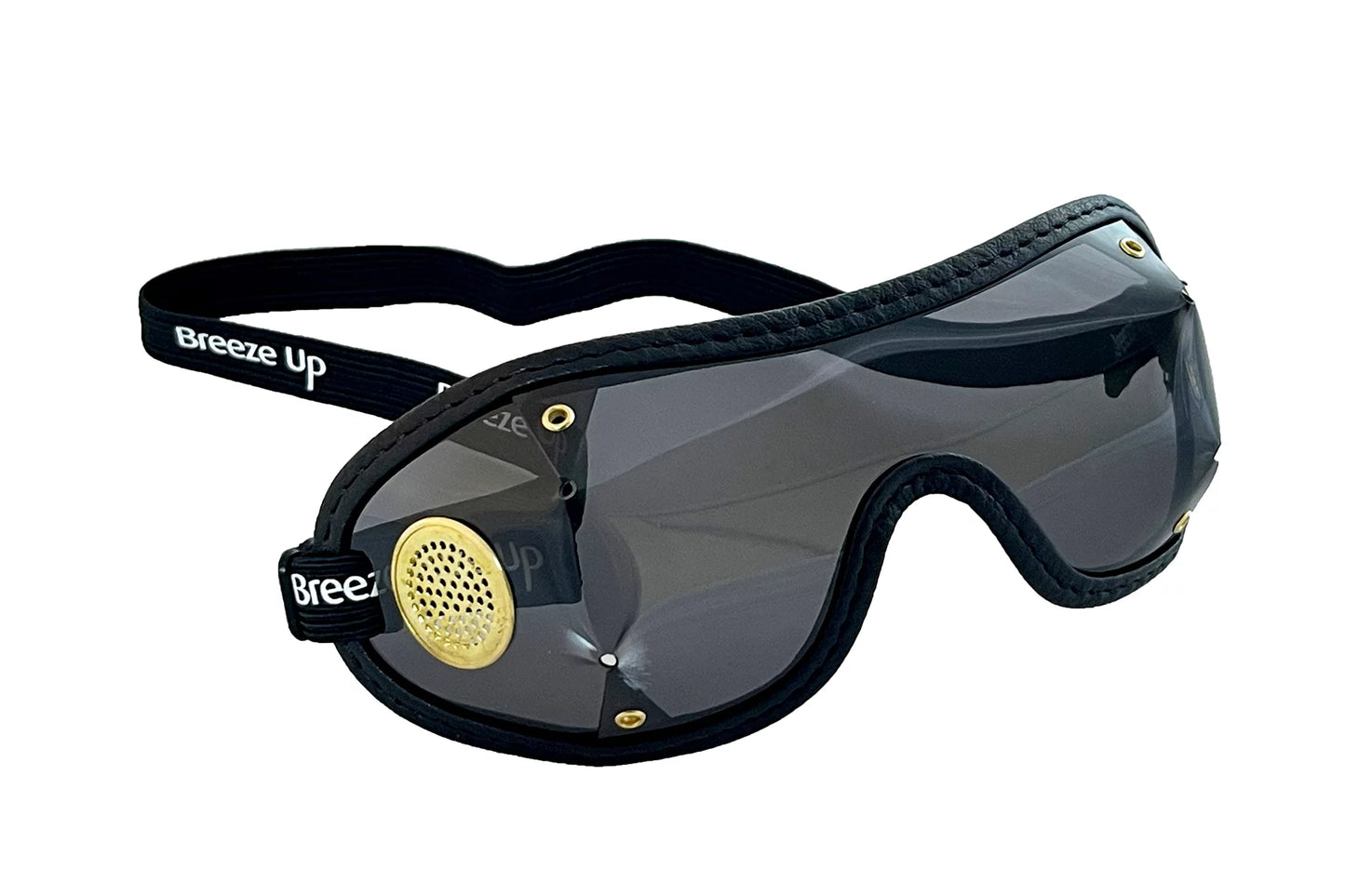 Breeze Up Traditional Goggles - Disc Vent