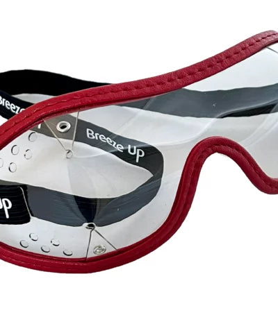 Breeze Up Traditional Goggles - Triple Slot