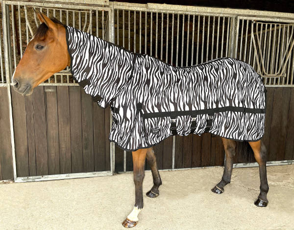 Zebra Fly-Away Rug