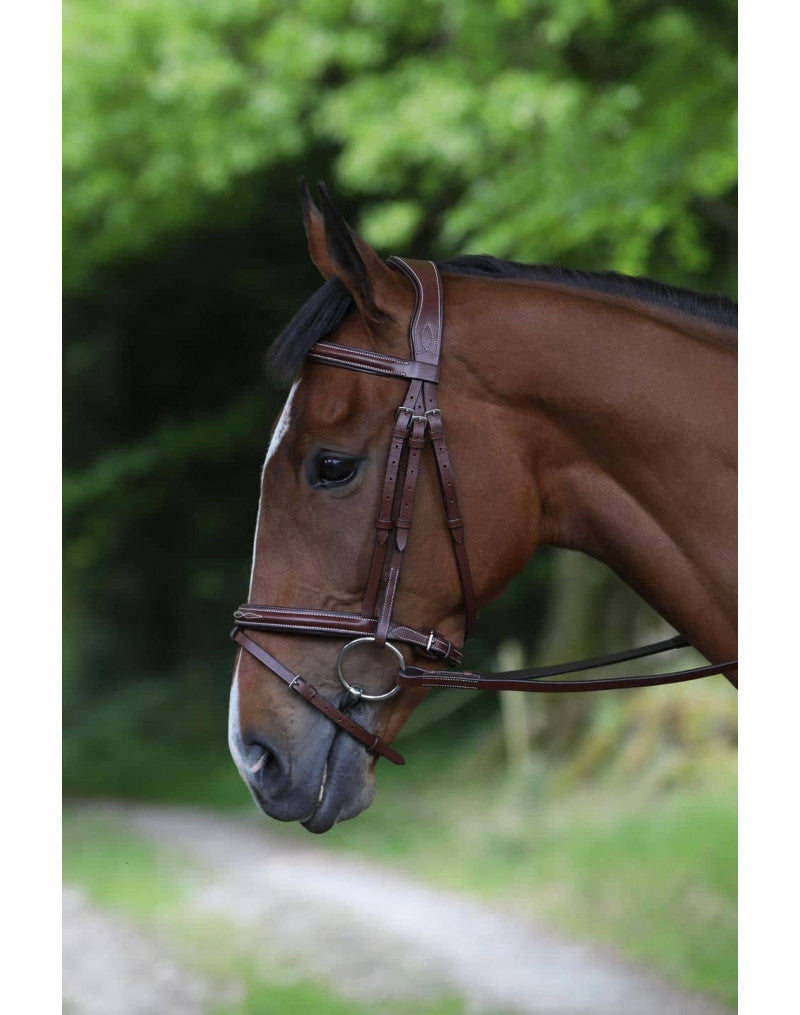 Puissance Hickstead Bridle & Reins