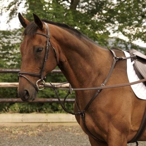 Hunting Breast Plate Martingale FG Stainless Steel