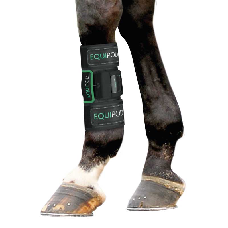NuroKor EquiPod Horse & Rider Package