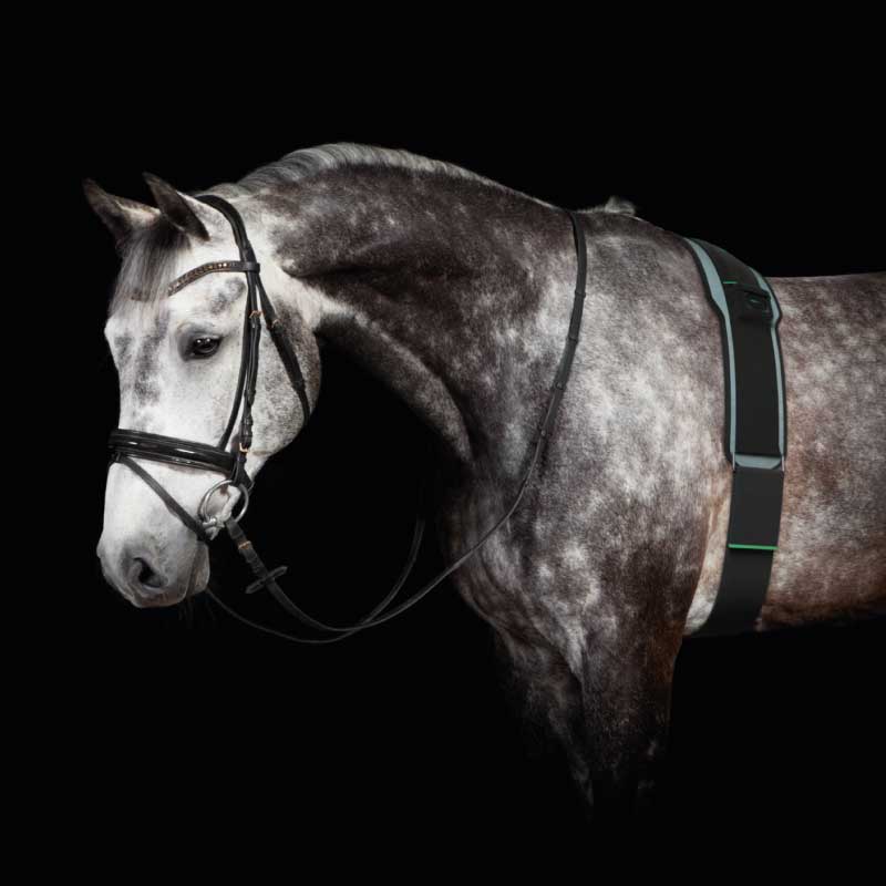 NuroKor EquiPod Horse & Rider Package