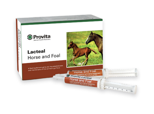 Provita Lacteal Horse & Foal 35g syringe