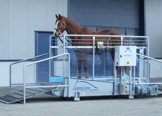 Trot Treadmill T1