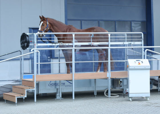 Trot Treadmill T2