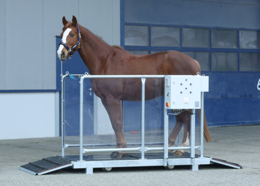 Vibrating plate for horses